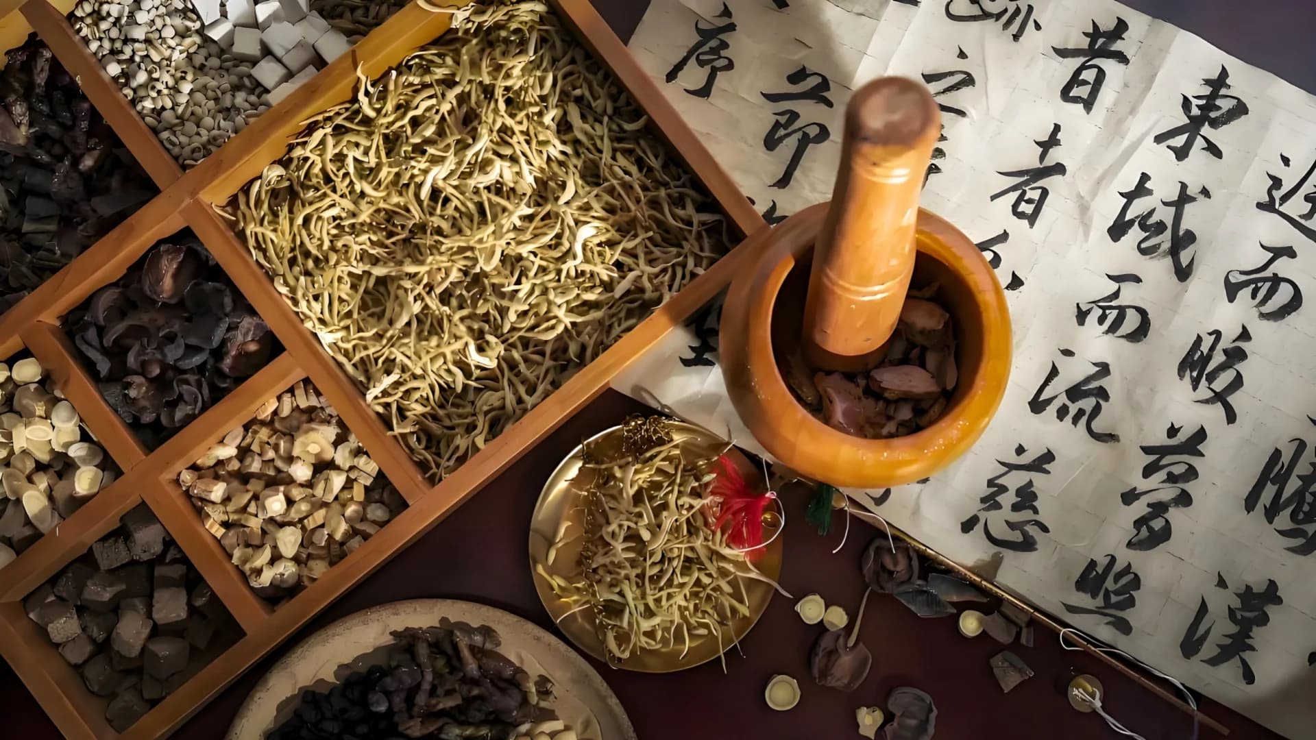 Traditional Chinese Medicine Experience