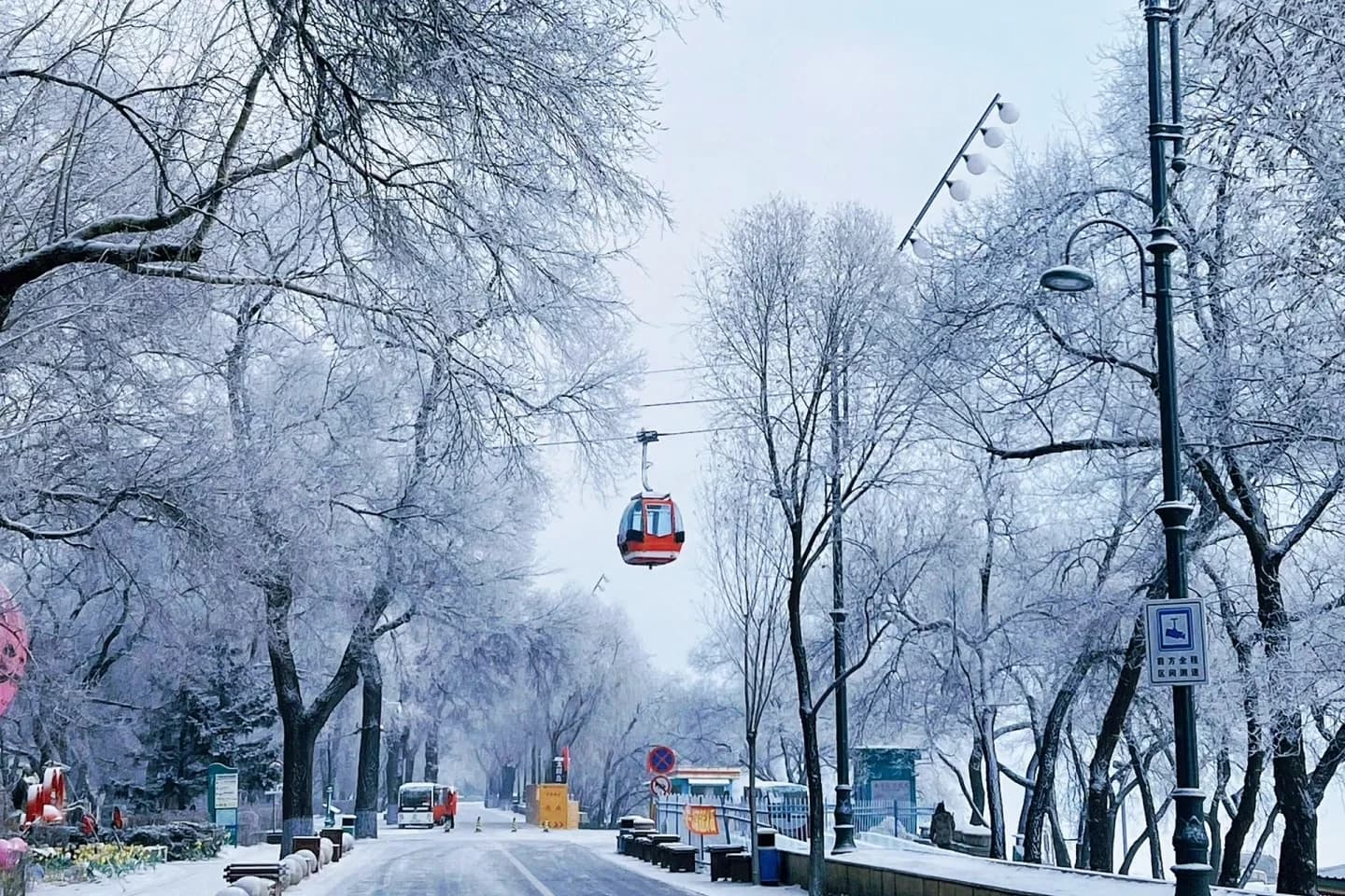 Harbin Travel Guide 2025: Ice Festival, Winter Adventures & Year-Round Guide